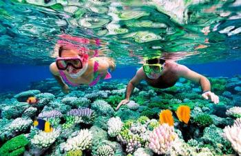 Unikalus povandeninis pasaulis